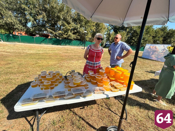 На саратовском фестивале подсолнухов раздавали угощения и сувениры