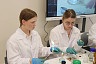Министр призвал проводить обучение саратовских школьников без потрясений