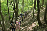 Юных саратовцев в походе учили основам ориентирования